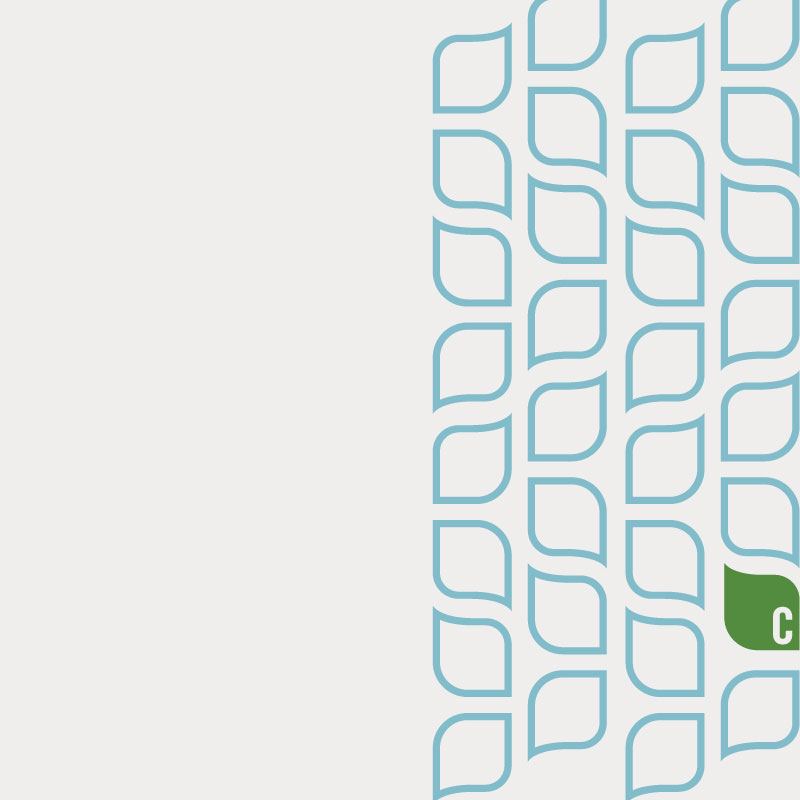 OhThatJoshSmith_CultivateAgency_Pattern